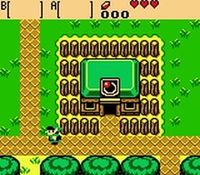 une photo d'Ã©cran de The Legend of Zelda - Oracle of Seasons sur Nintendo Game Boy Color